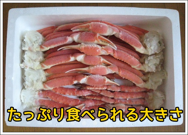快適生活のズワイガニ